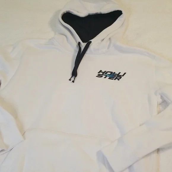 HOLLISTER HOODIE - Picture 1 of 10
